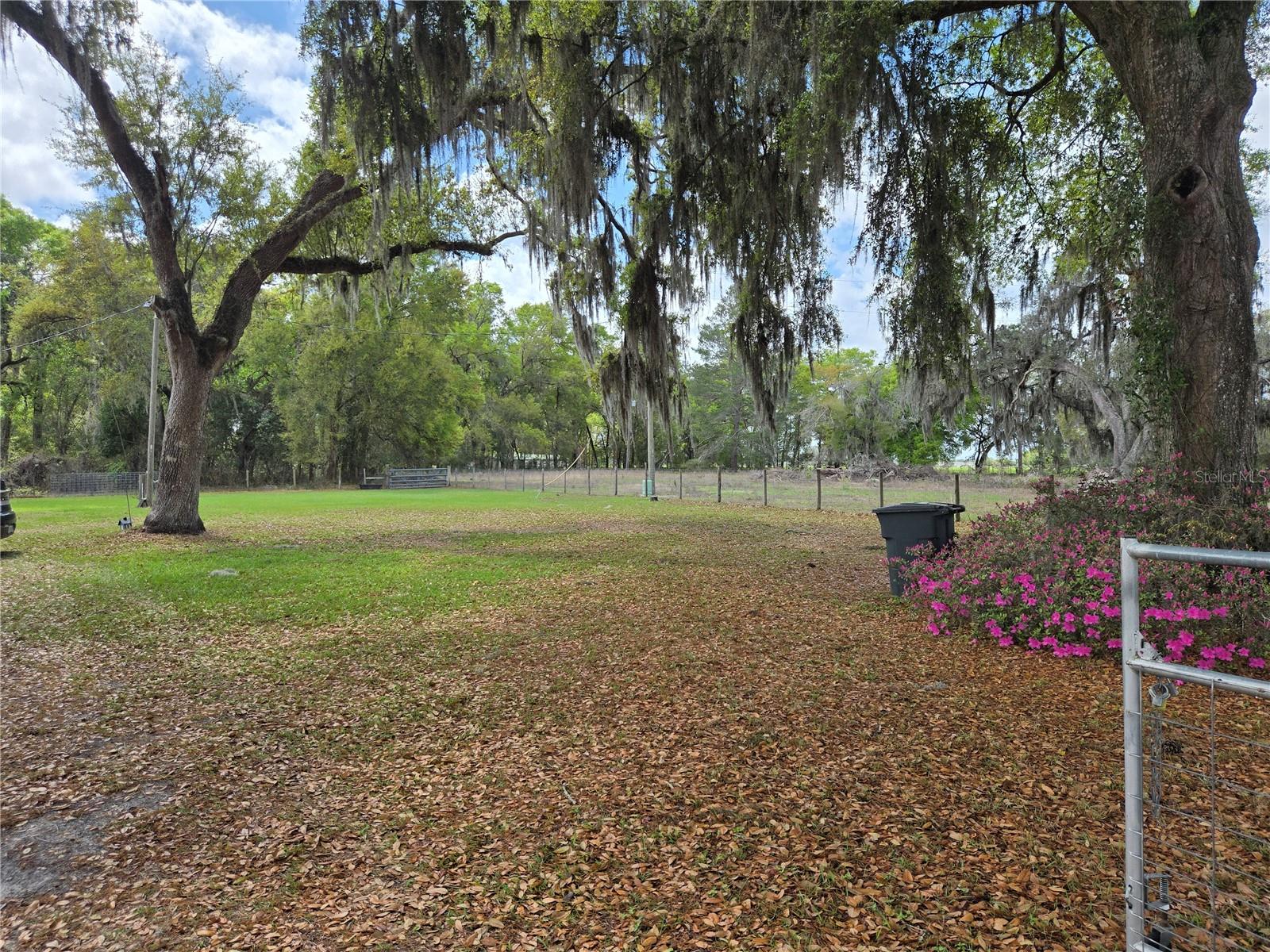 2327 CR 528, SUMTERVILLE, FL — photo 6