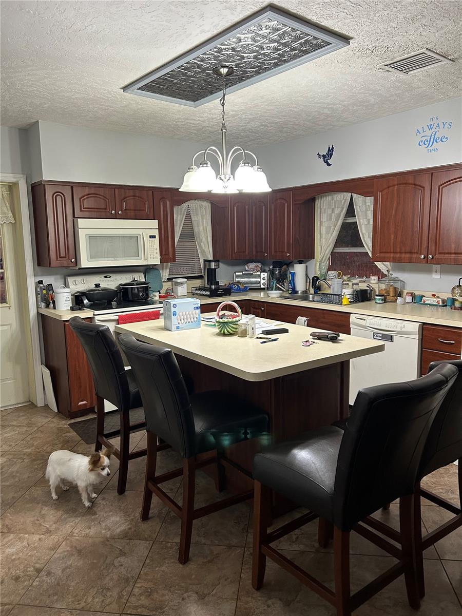 2327 CR 528, SUMTERVILLE, FL — photo 11