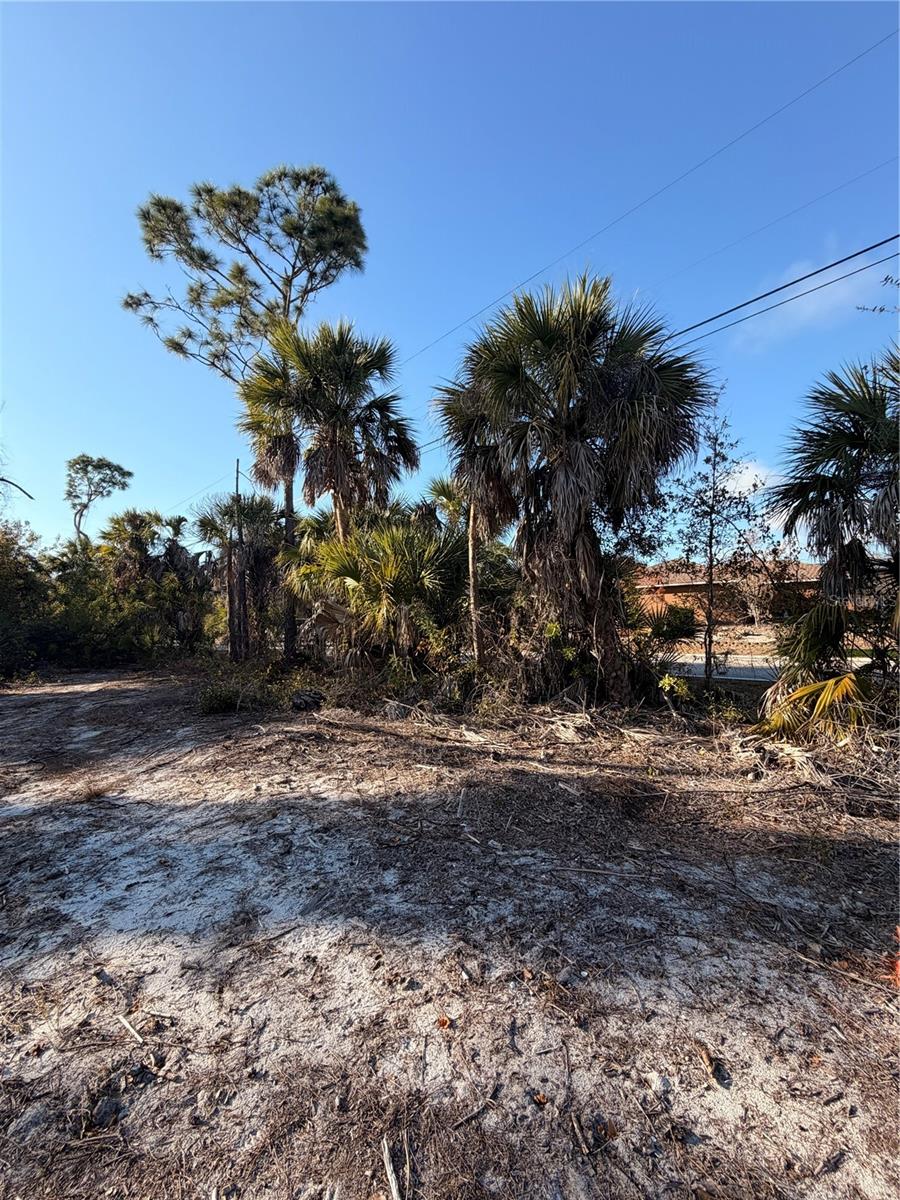 9105 FRUITLAND AVE, ENGLEWOOD, FL — photo 8