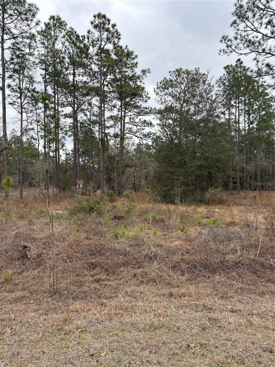 1159 NW REDWOOD DR, DUNNELLON, FL