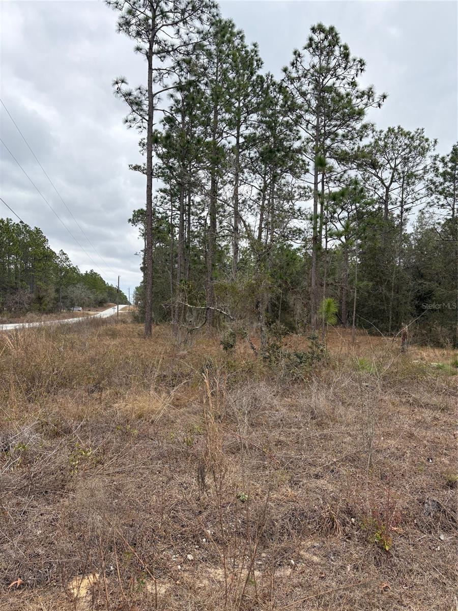 1159 NW REDWOOD DR, DUNNELLON, FL — photo 2