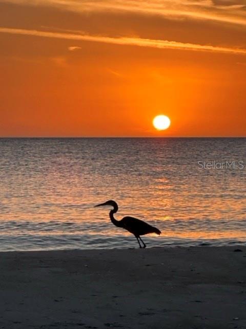 600 JUNGLE QUEEN WAY, LONGBOAT KEY, FL — photo 11