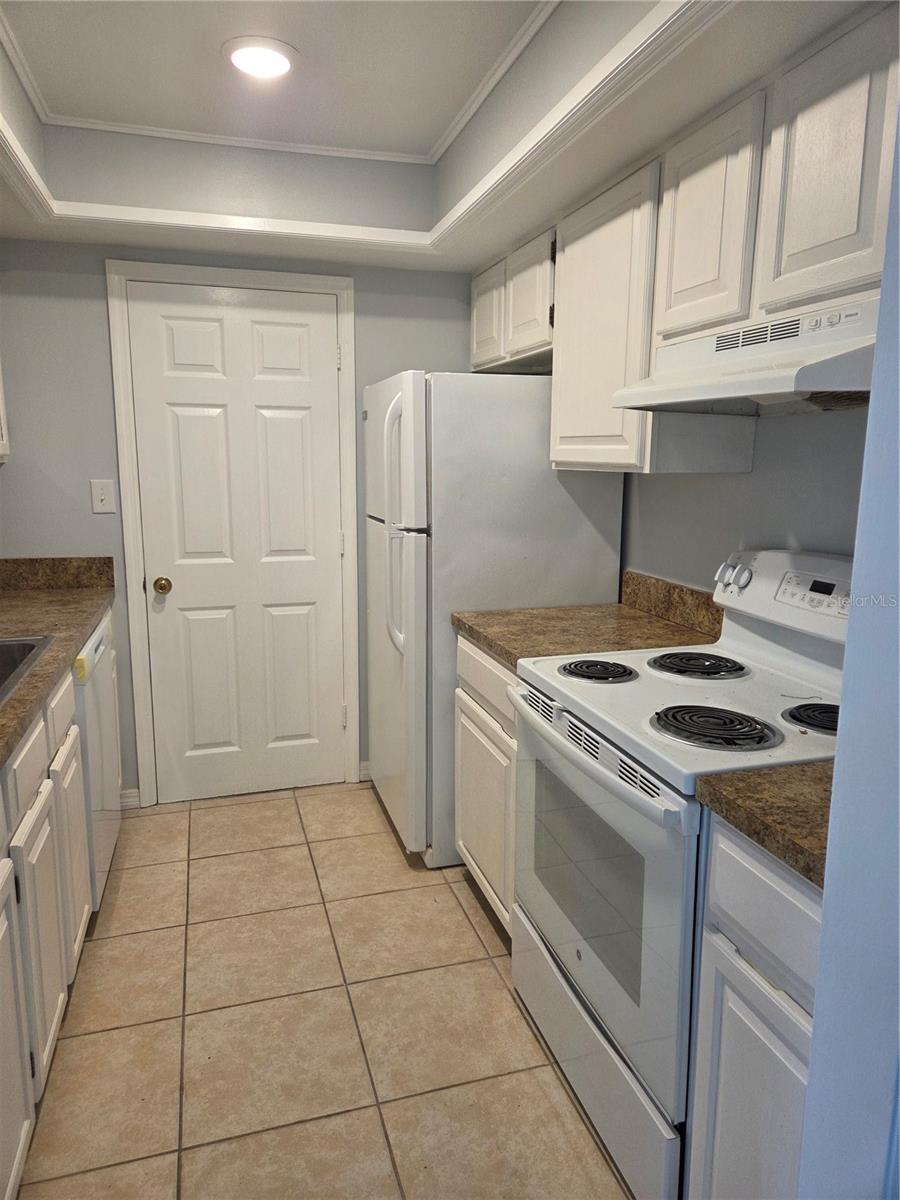 743 E ALFRED ST, TAVARES, FL — photo 5