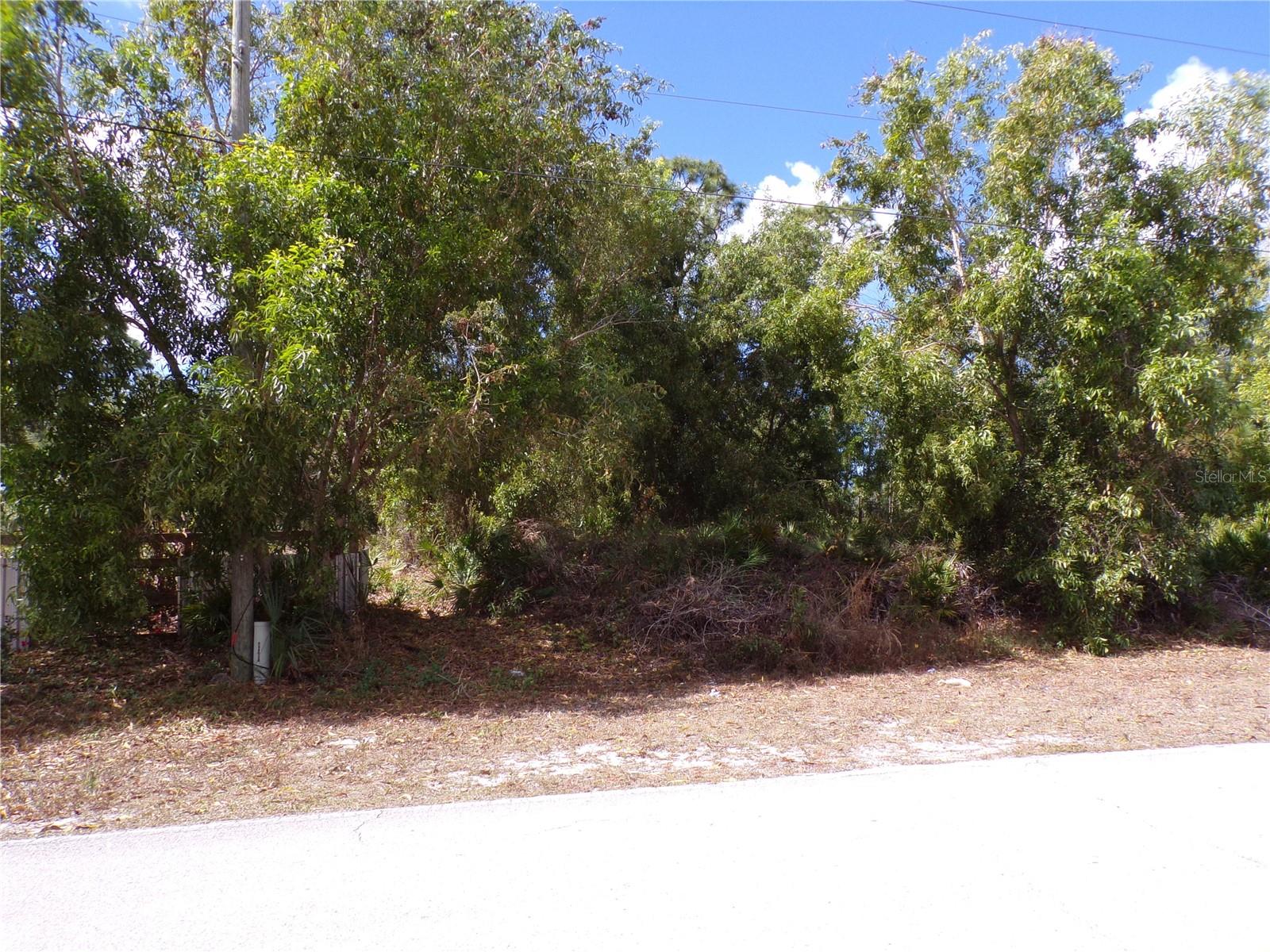 12253 GREEN GULF BLVD, PUNTA GORDA, FL — photo 2