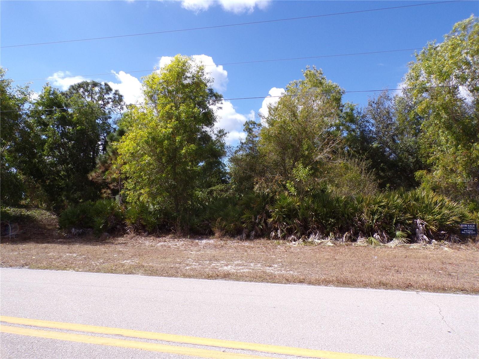 12253 GREEN GULF BLVD, PUNTA GORDA, FL — photo 3