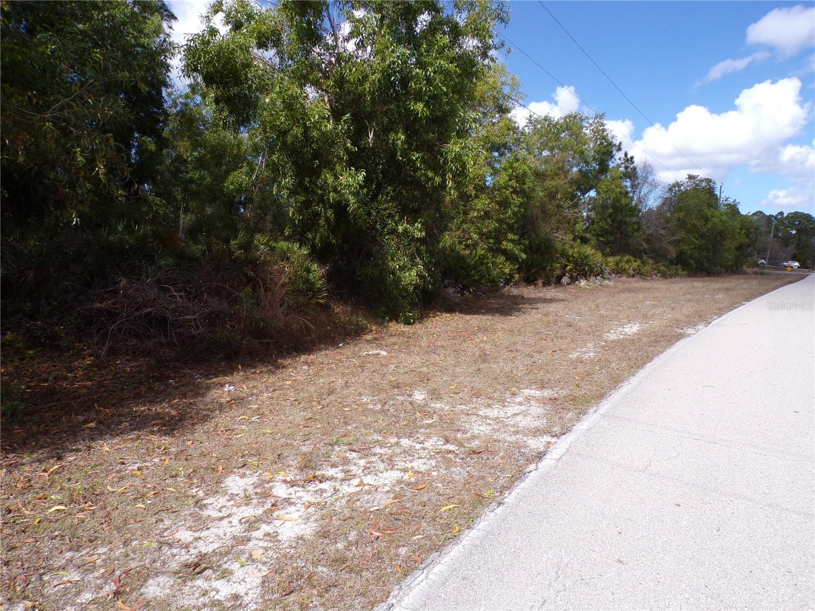 12253 GREEN GULF BLVD, PUNTA GORDA, FL — photo 6