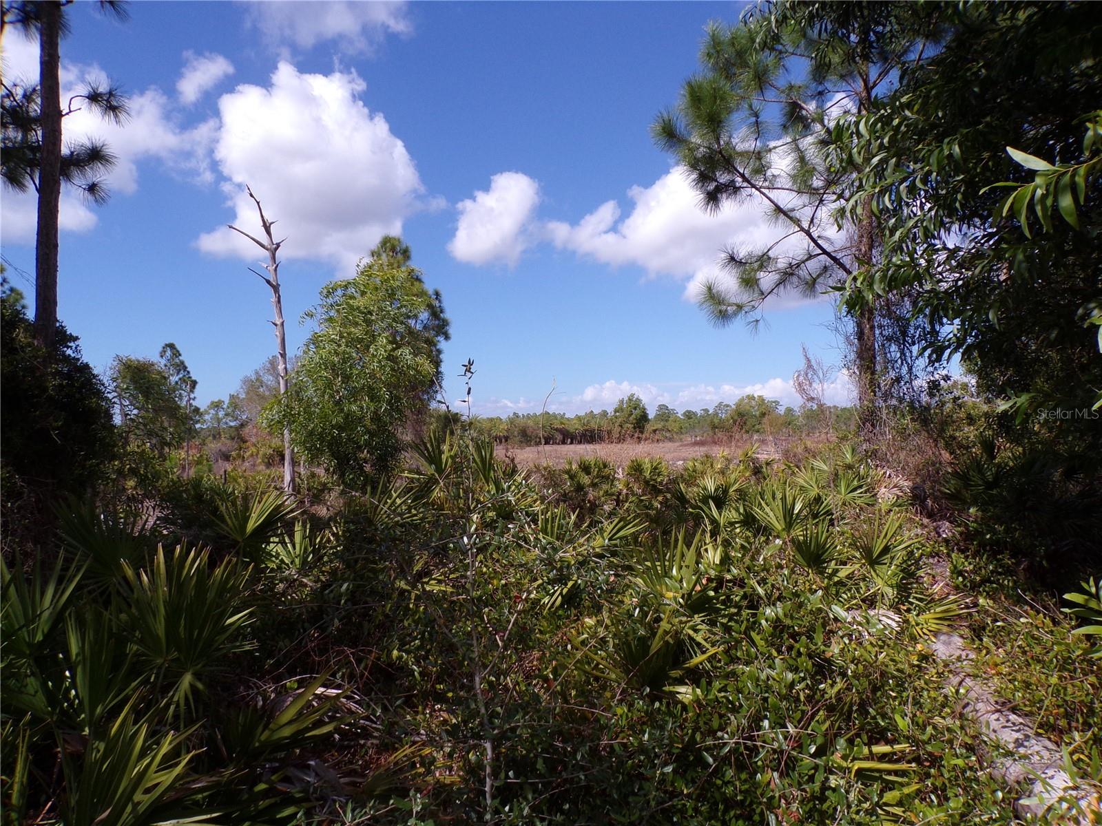 12253 GREEN GULF BLVD, PUNTA GORDA, FL — photo 11