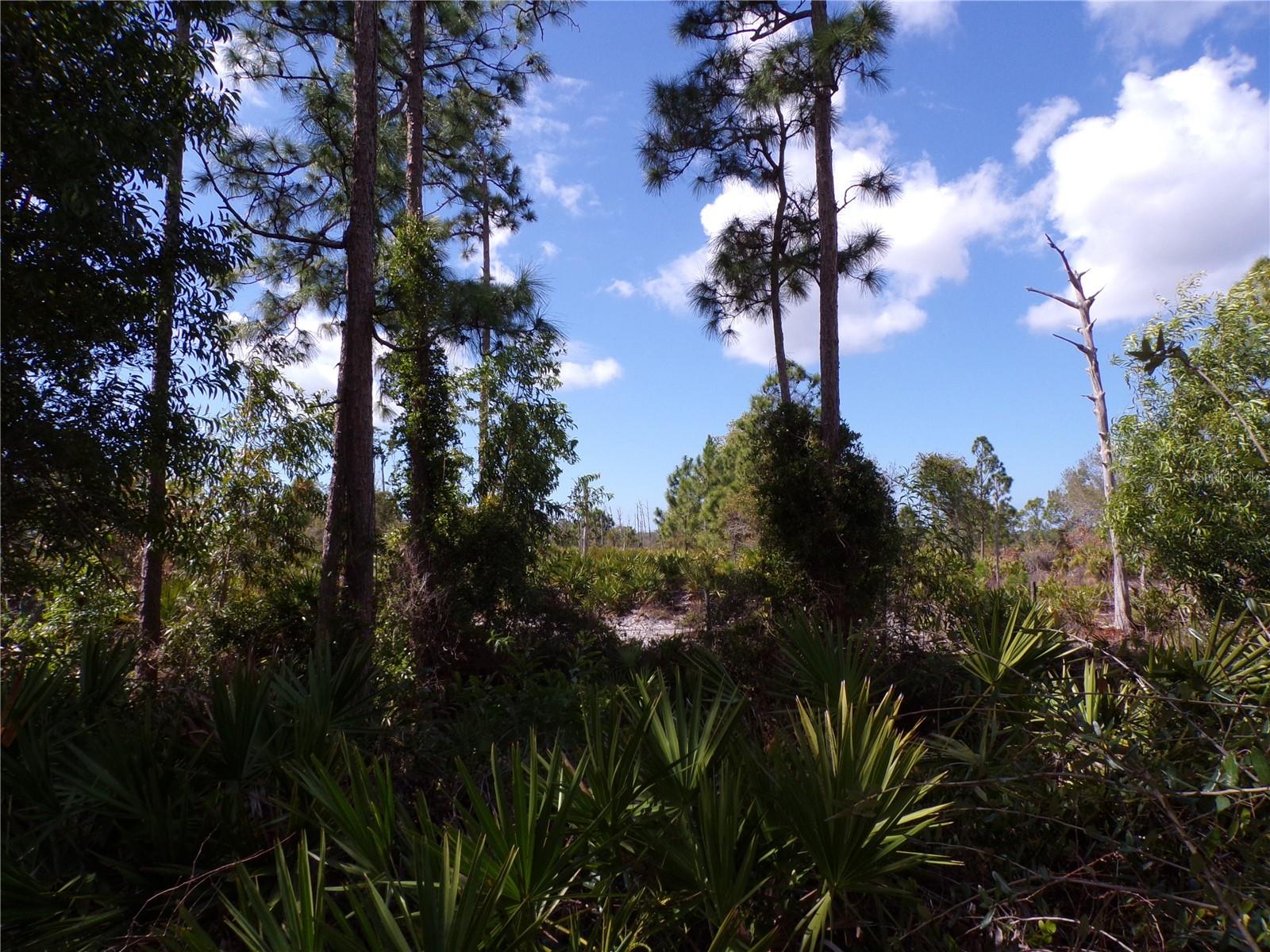 12253 GREEN GULF BLVD, PUNTA GORDA, FL — photo 14