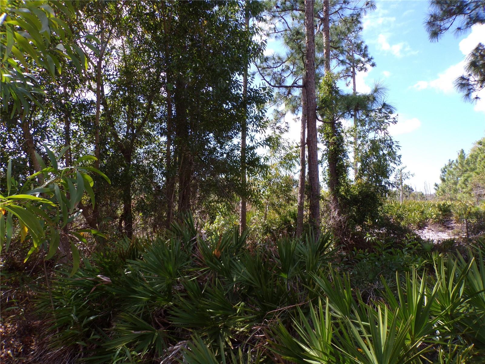 12253 GREEN GULF BLVD, PUNTA GORDA, FL — photo 15