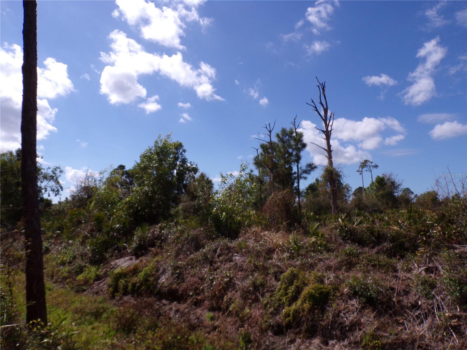 12253 GREEN GULF BLVD, PUNTA GORDA, FL — photo 17