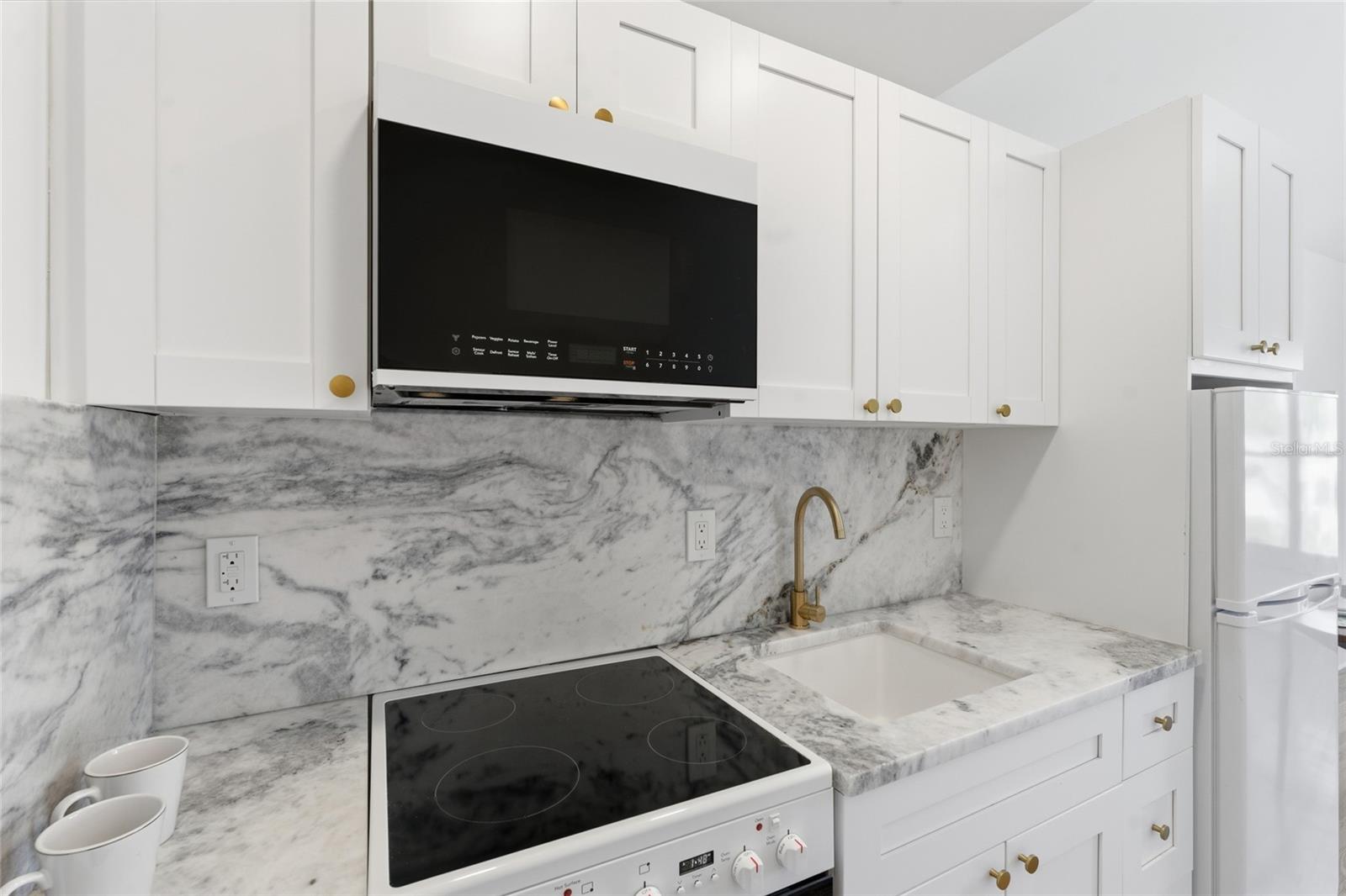 326 6TH AVE N #101, ST PETERSBURG, FL — photo 7