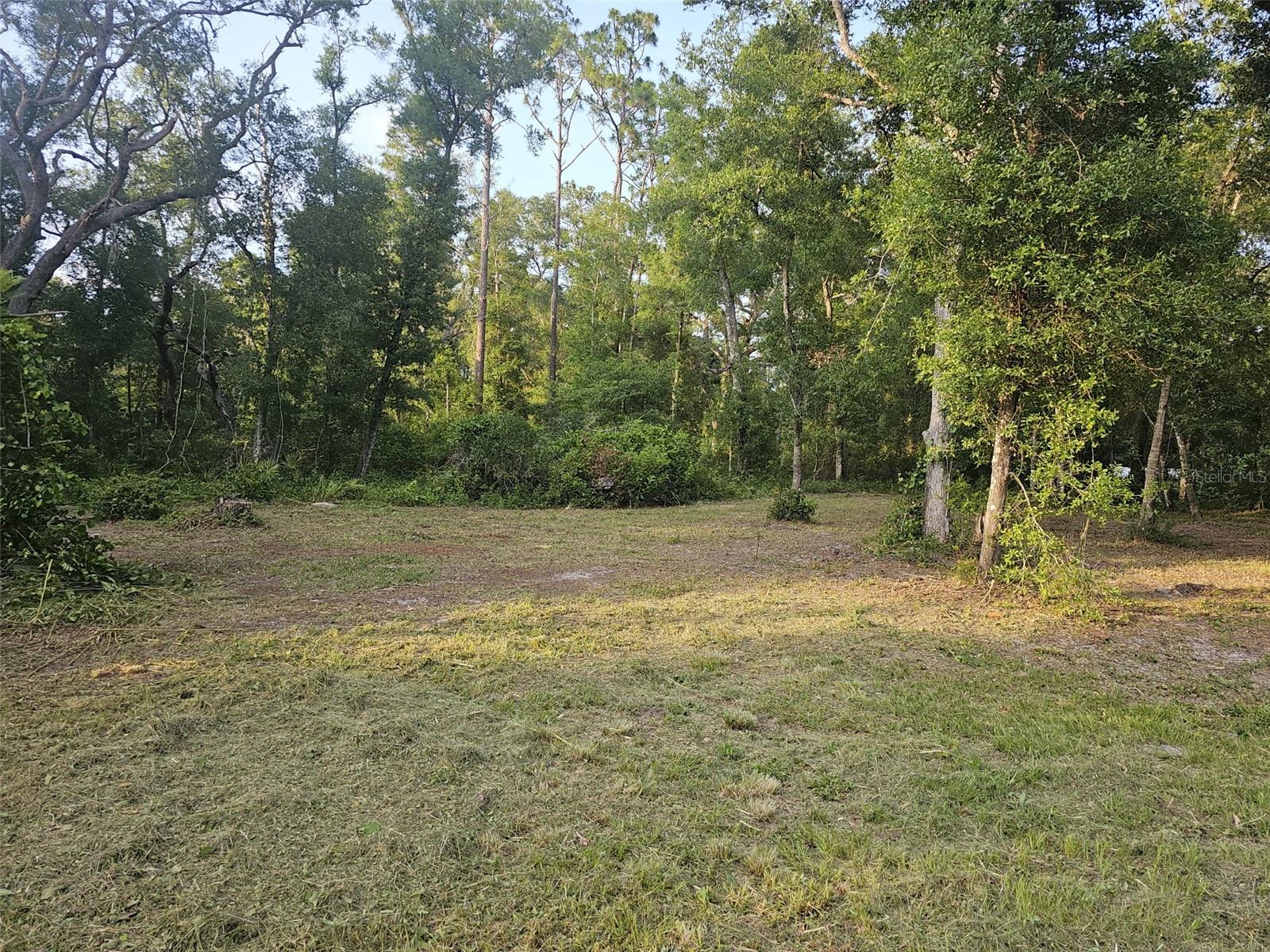 40TH, WEBSTER, FL — photo 2