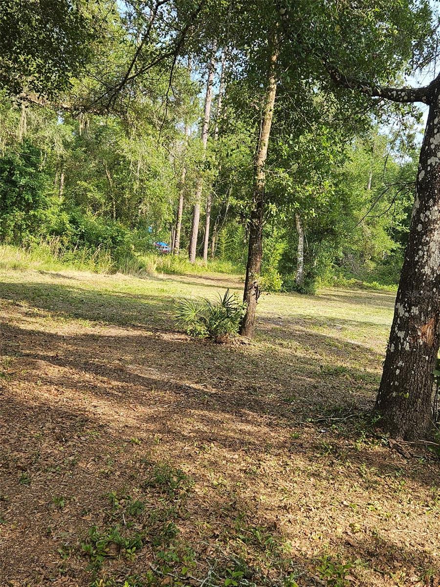 40TH, WEBSTER, FL — photo 3