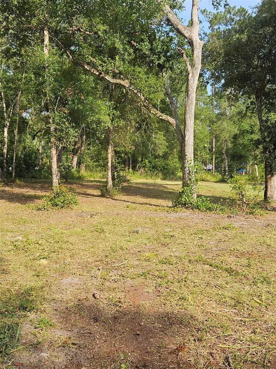 40TH, WEBSTER, FL — photo 4