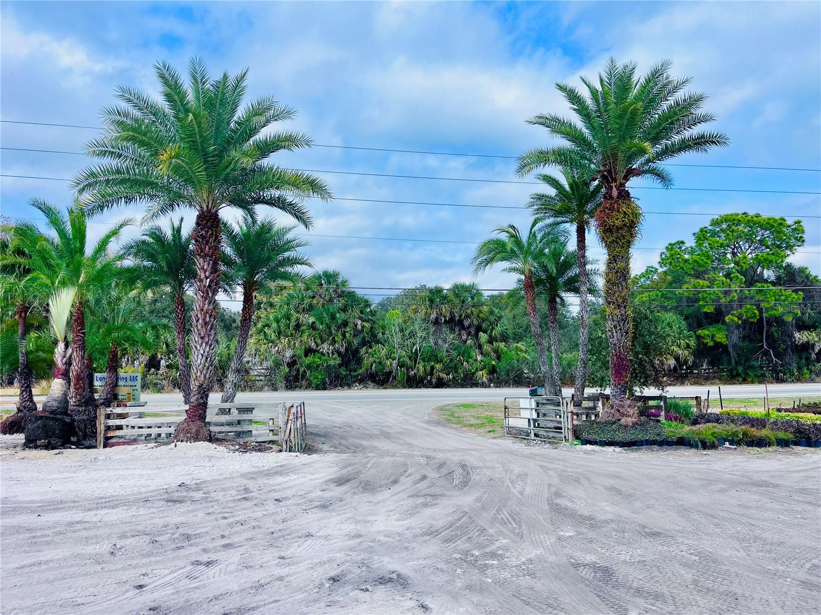 8440 COUNTY ROAD 48, YALAHA, FL — photo 4