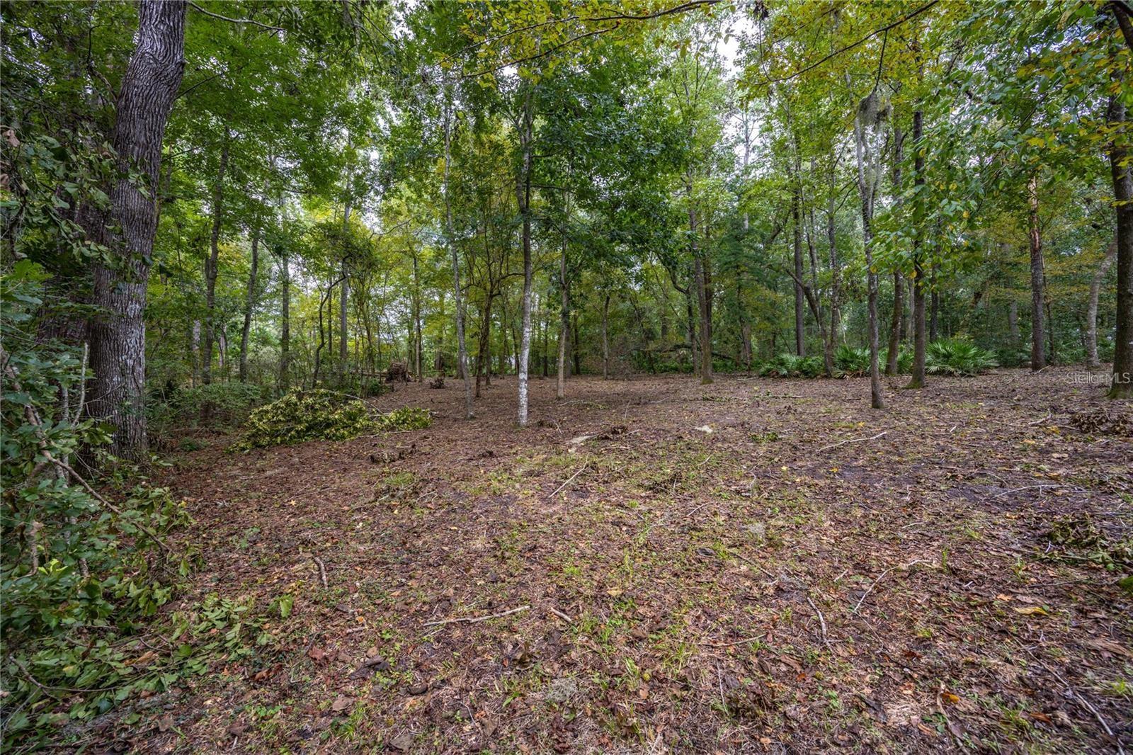 3960 NW 30TH PL, GAINESVILLE, FL — photo 7