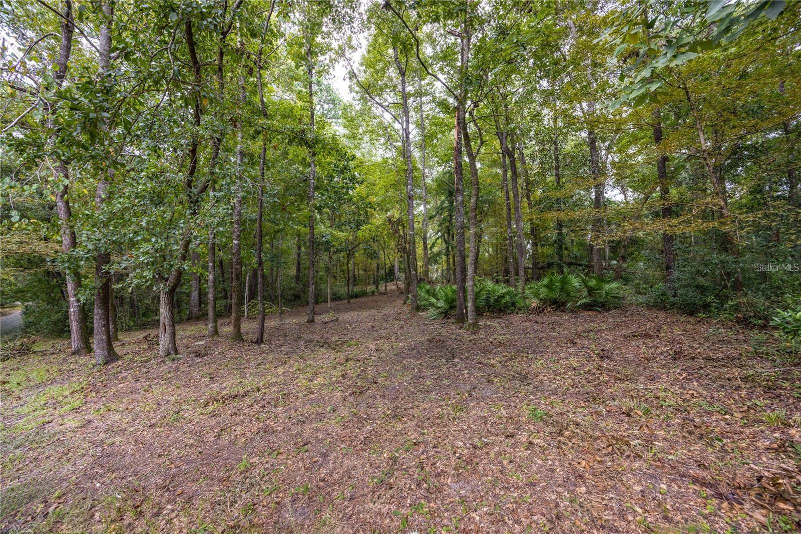 3960 NW 30TH PL, GAINESVILLE, FL — photo 10