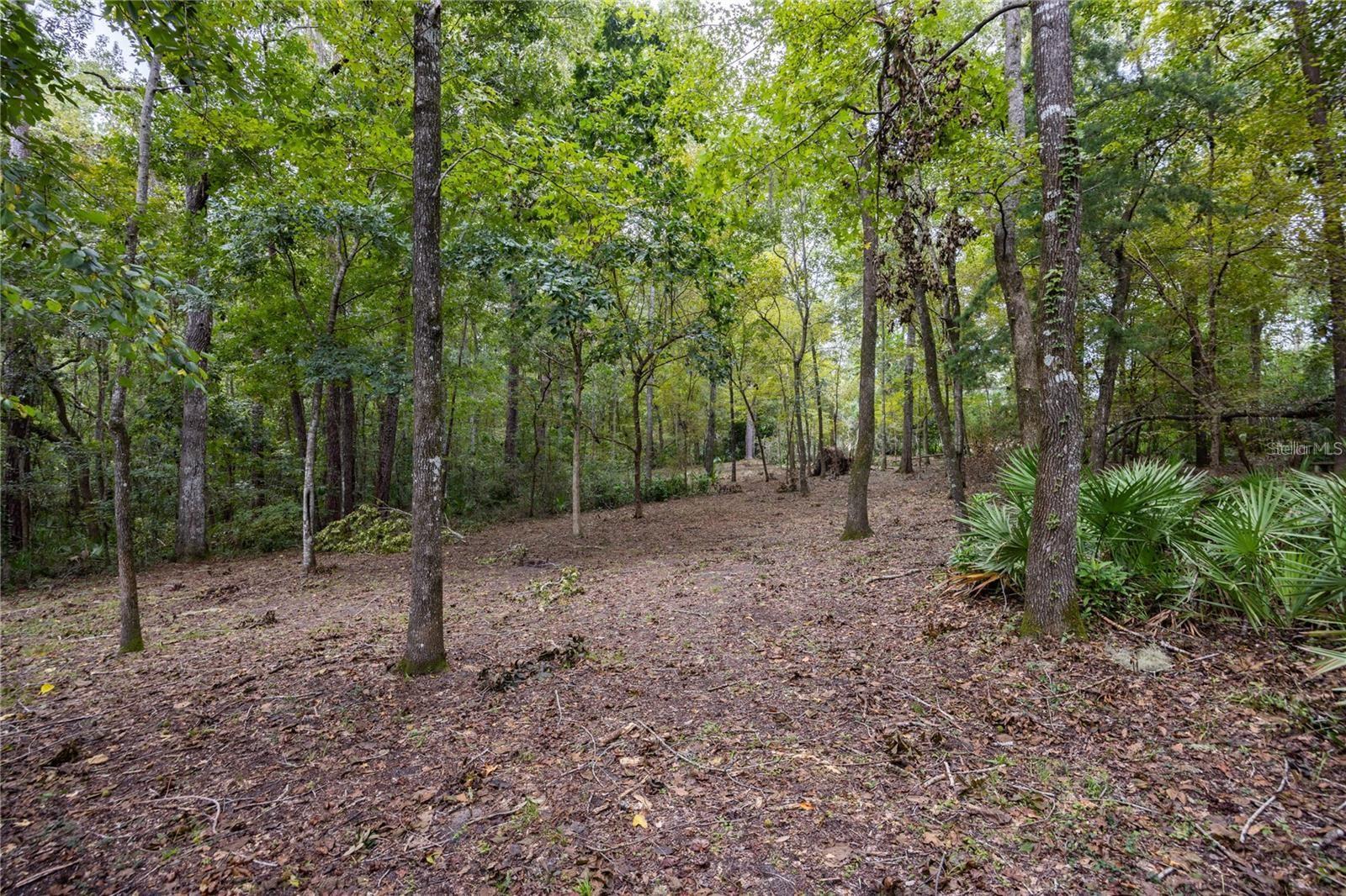 3960 NW 30TH PL, GAINESVILLE, FL — photo 12