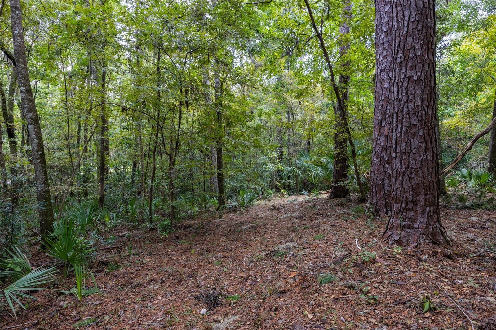 3960 NW 30TH PL, GAINESVILLE, FL — photo 22