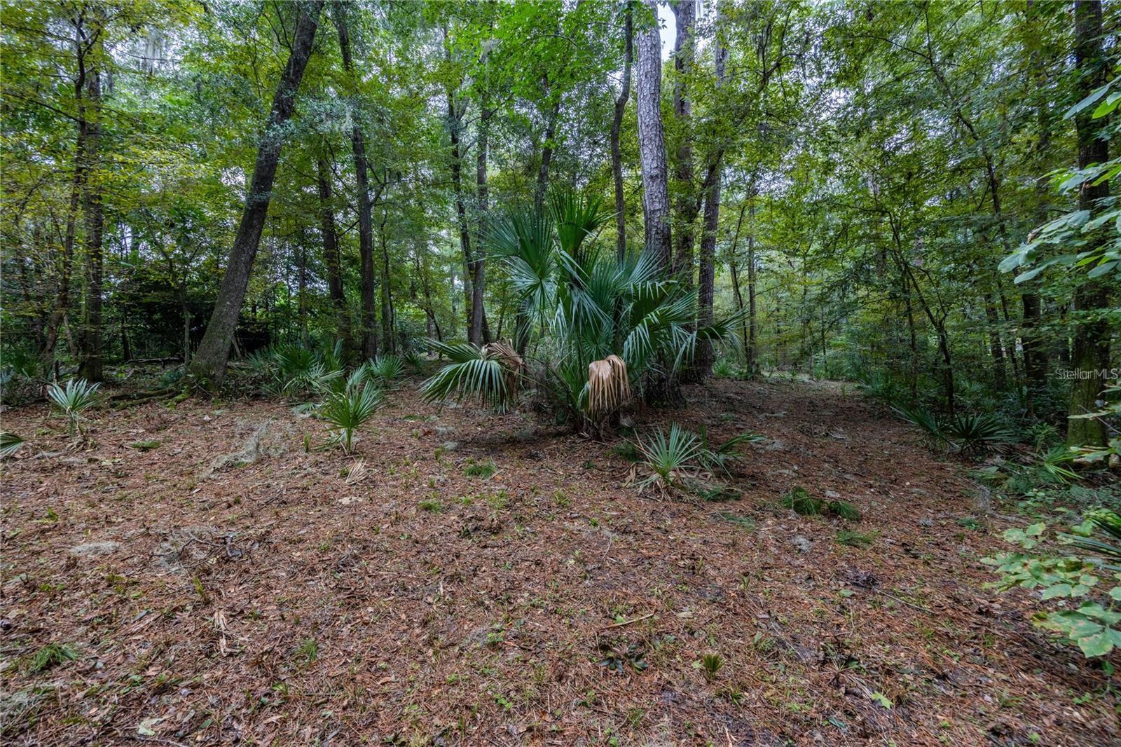3960 NW 30TH PL, GAINESVILLE, FL — photo 24