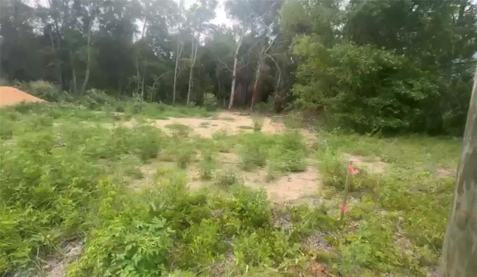 5311 NW 7TH ST, OCALA, FL — photo 15