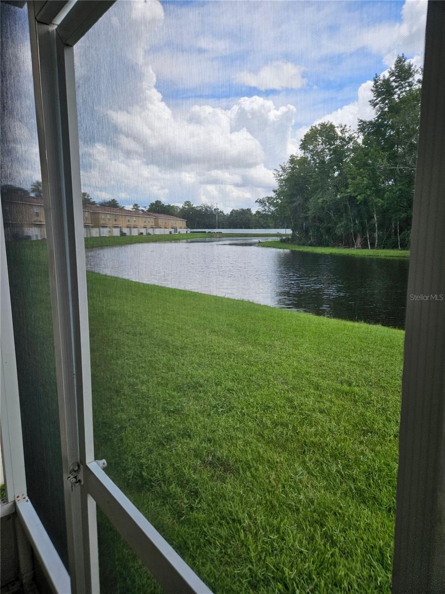 4214 WINDING RIVER WAY, LAND O LAKES, FL — photo 40