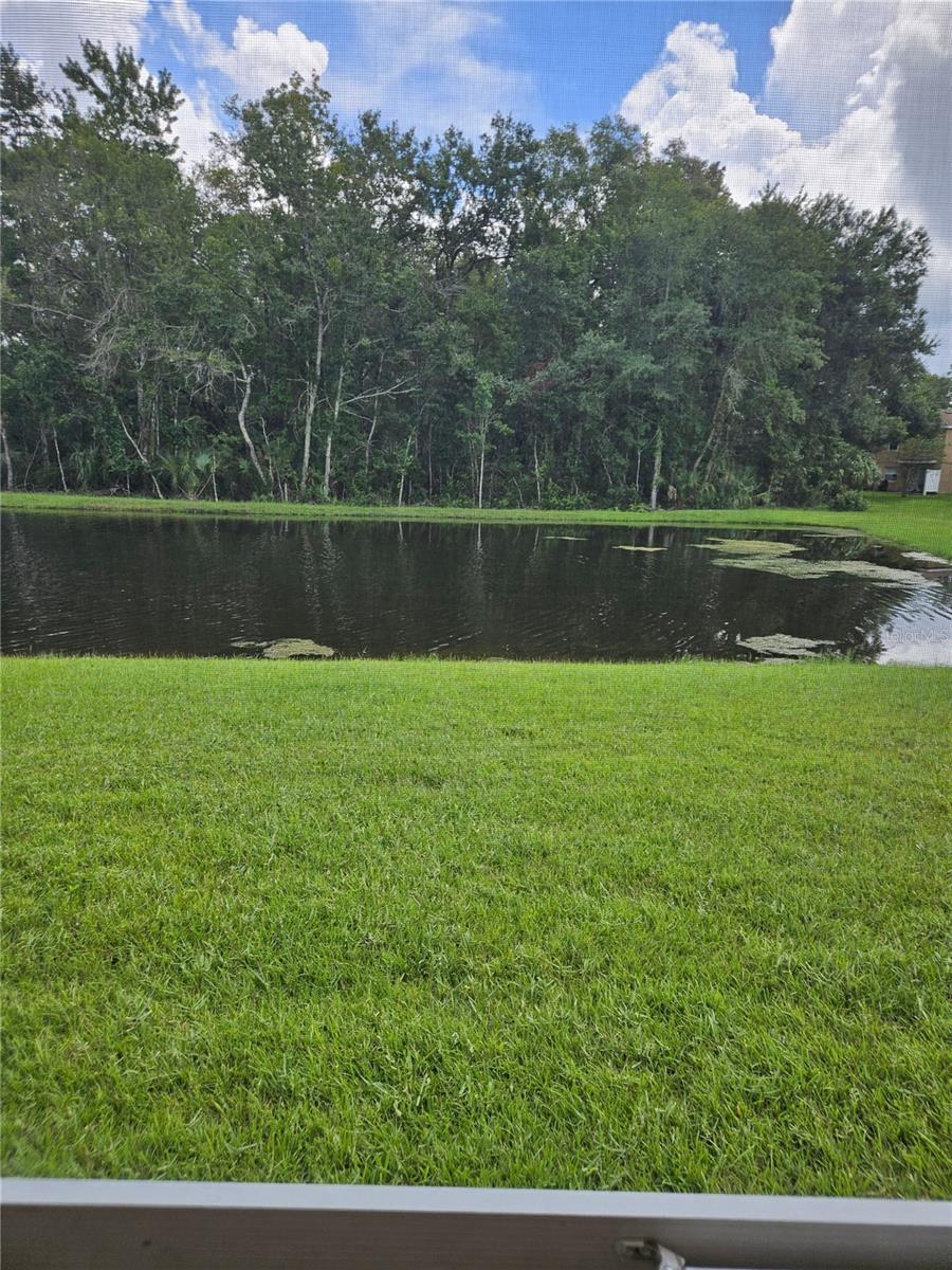 4214 WINDING RIVER WAY, LAND O LAKES, FL — photo 41