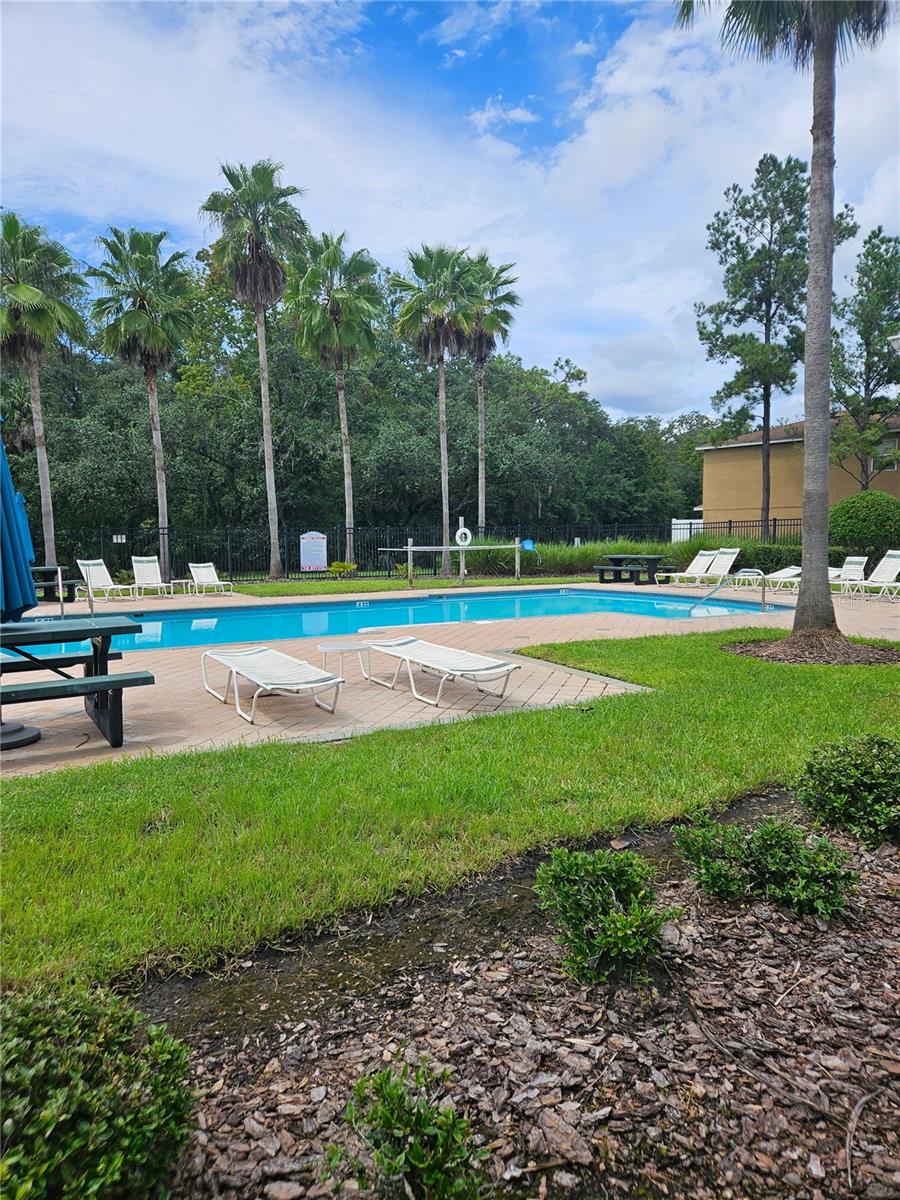 4214 WINDING RIVER WAY, LAND O LAKES, FL — photo 42