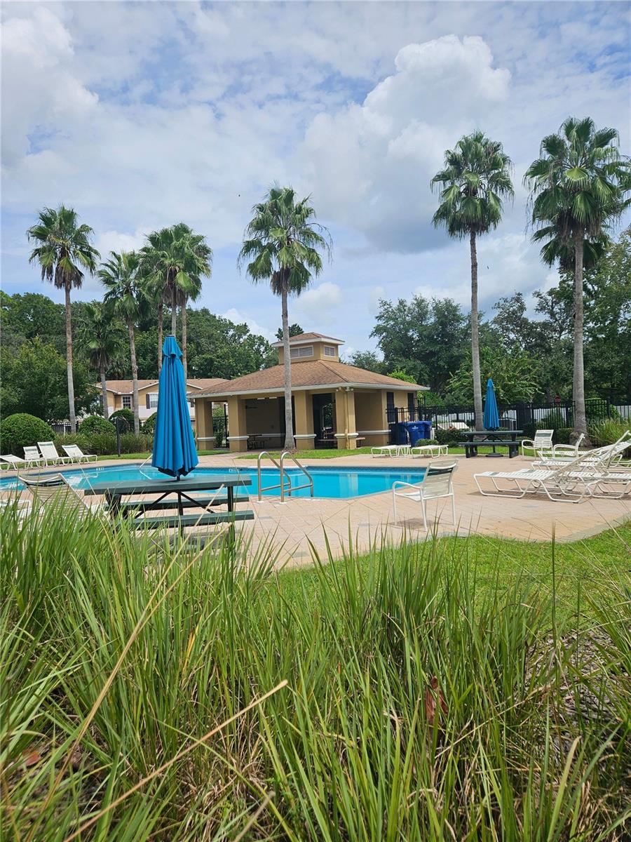 4214 WINDING RIVER WAY, LAND O LAKES, FL — photo 43