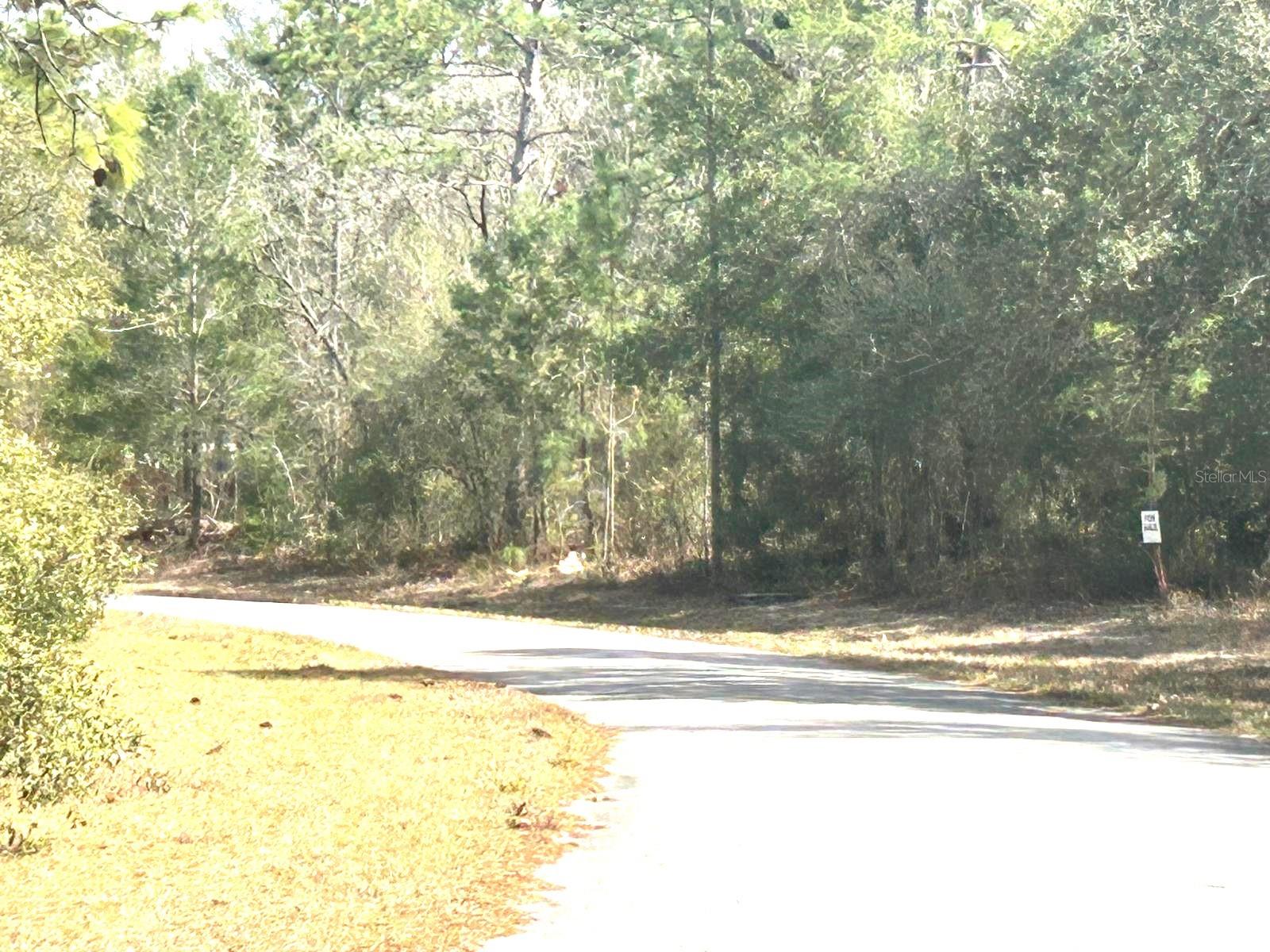 0 SW 163RD STREET RD, OCALA, FL — photo 3