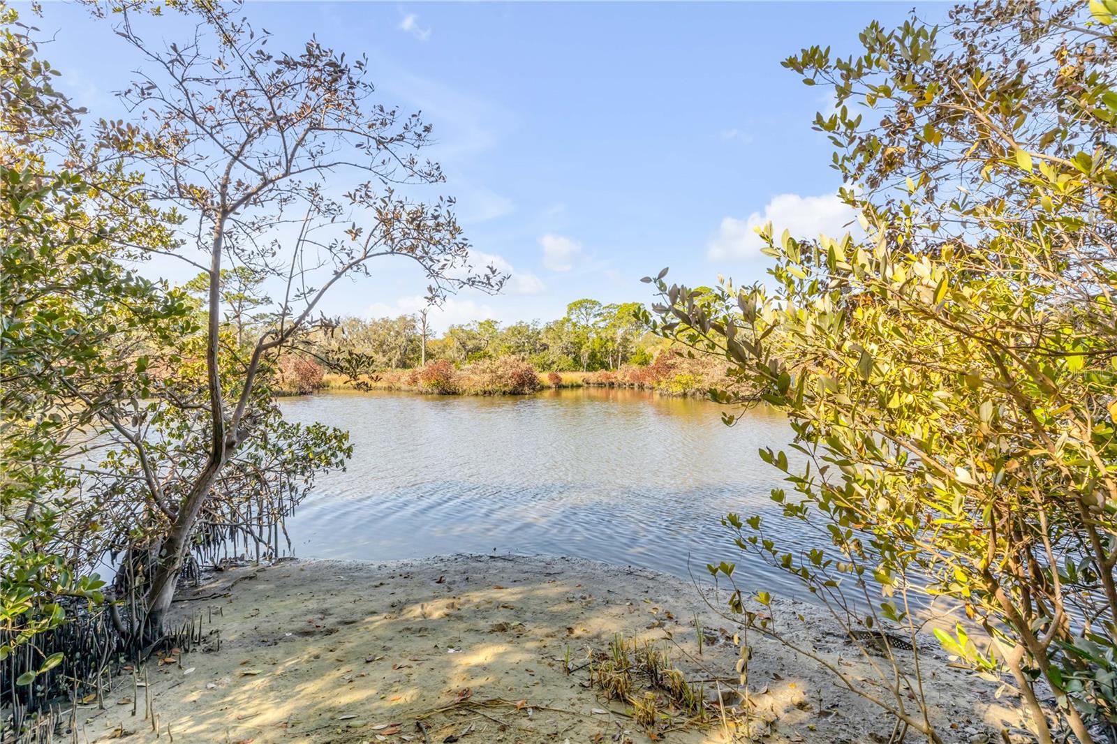 3054 N DIXIE FWY, NEW SMYRNA BEACH, FL — photo 6