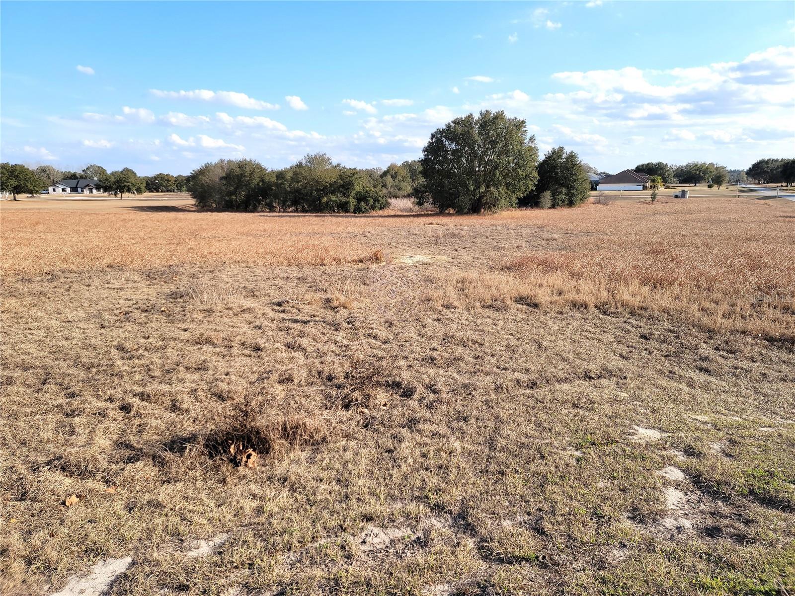 Lot #6 EAGLE RUN, GROVELAND, FL — photo 5