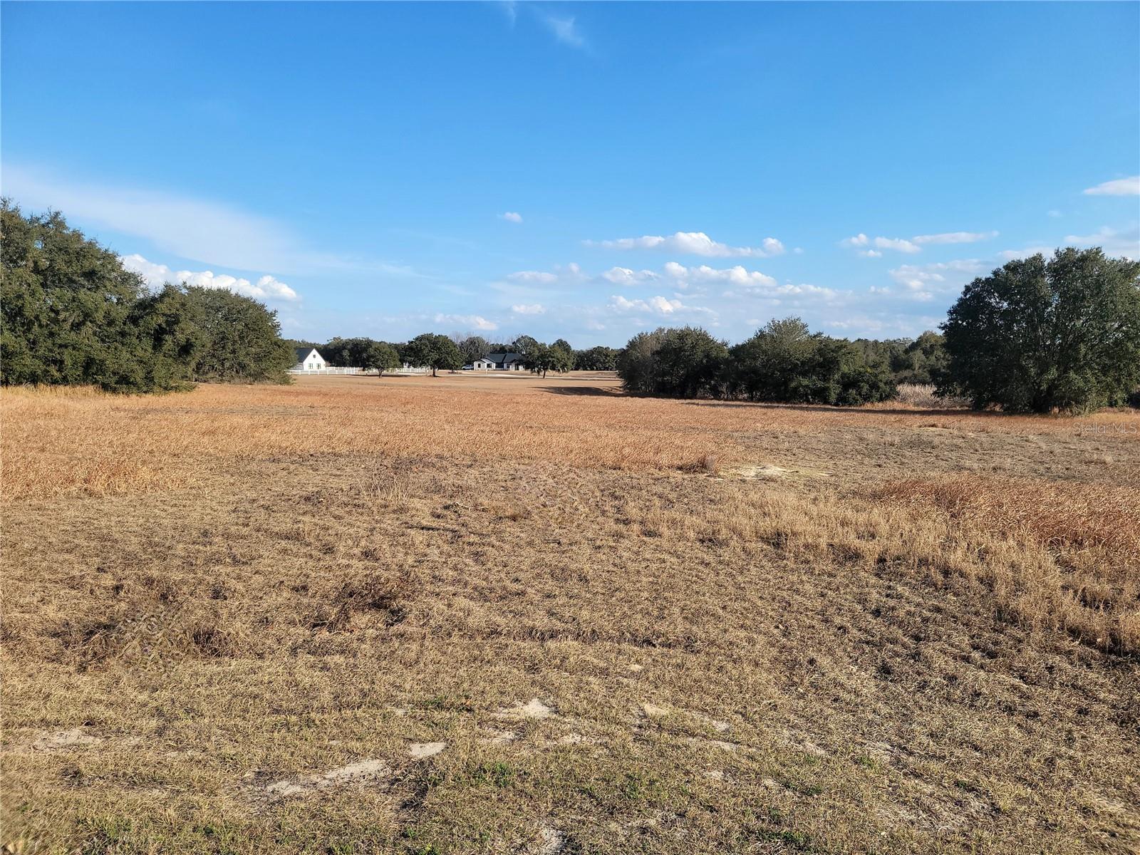 Lot #6 EAGLE RUN, GROVELAND, FL — photo 10