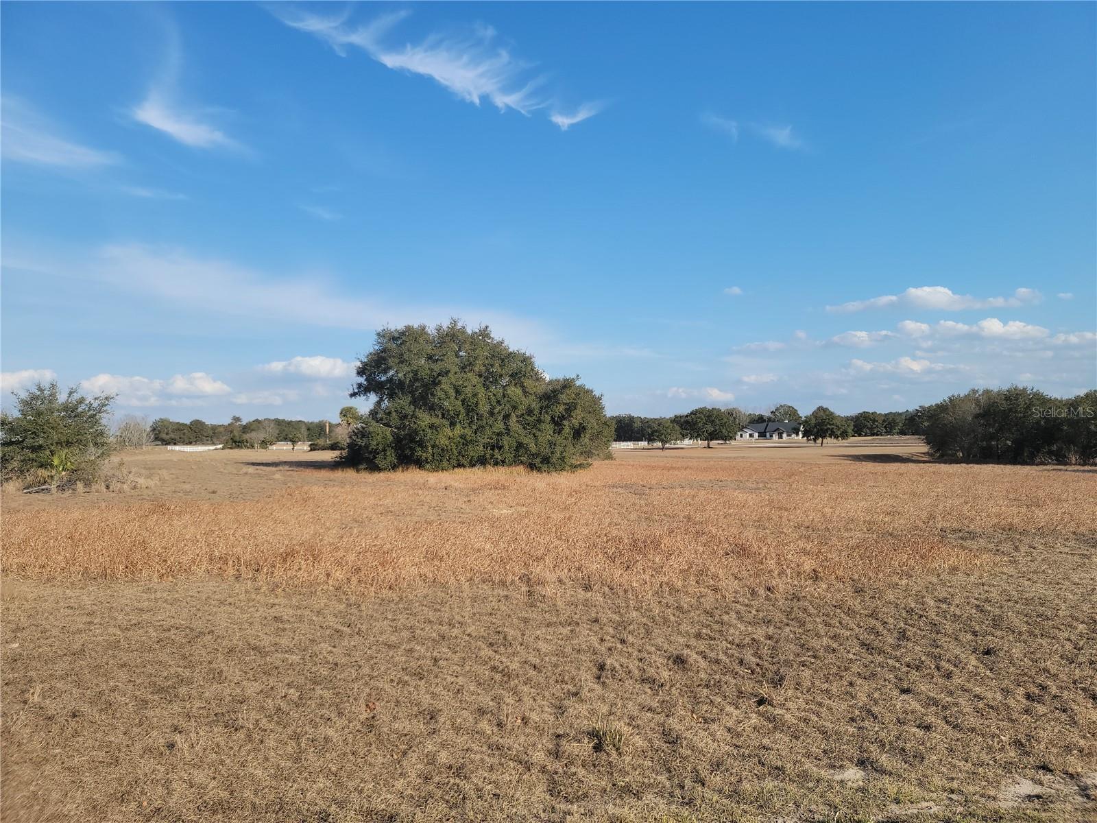 Lot #6 EAGLE RUN, GROVELAND, FL — photo 18