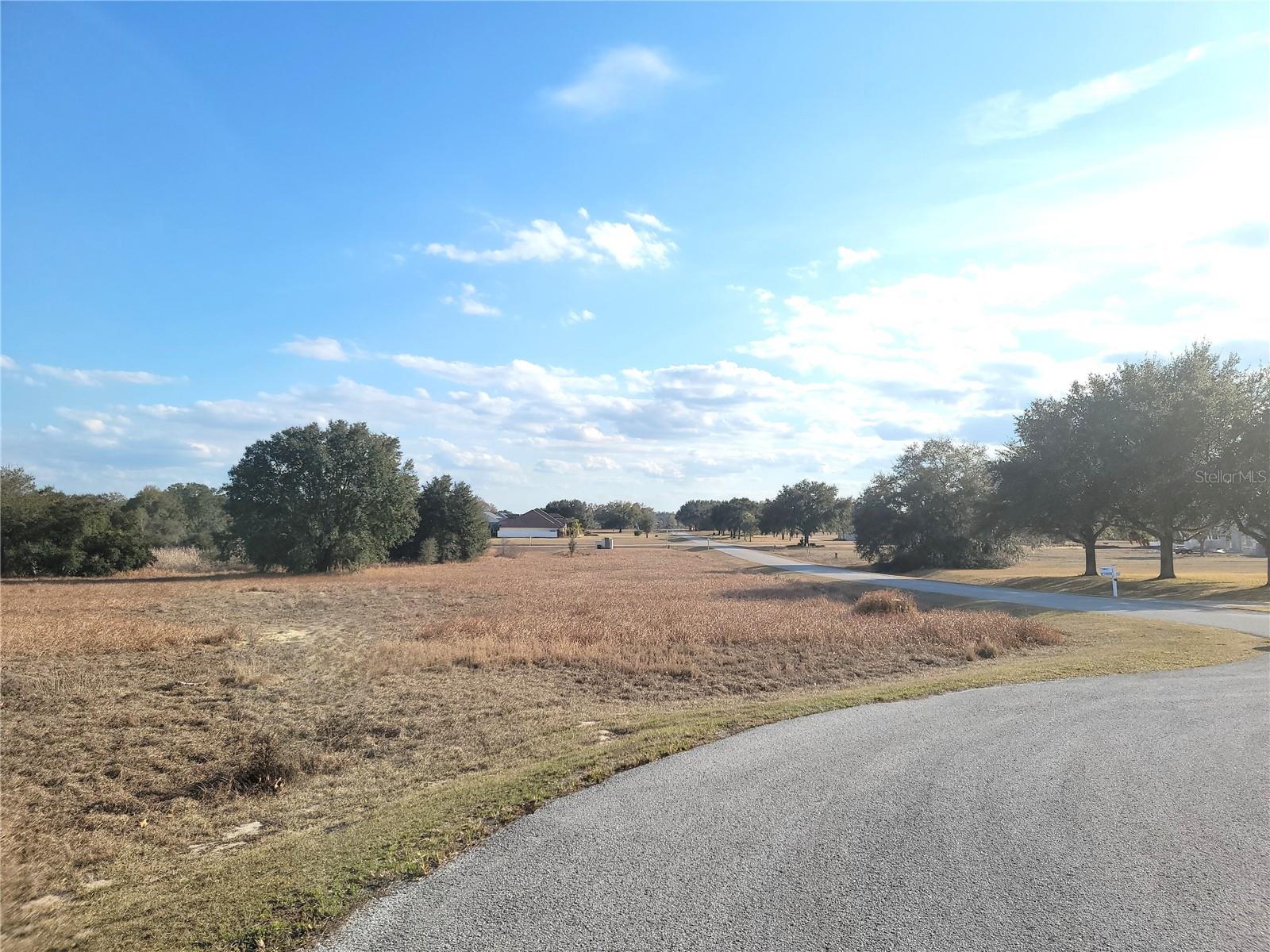 Lot #6 EAGLE RUN, GROVELAND, FL — photo 27