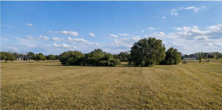 Lot #6 EAGLE RUN, GROVELAND, FL — photo 7