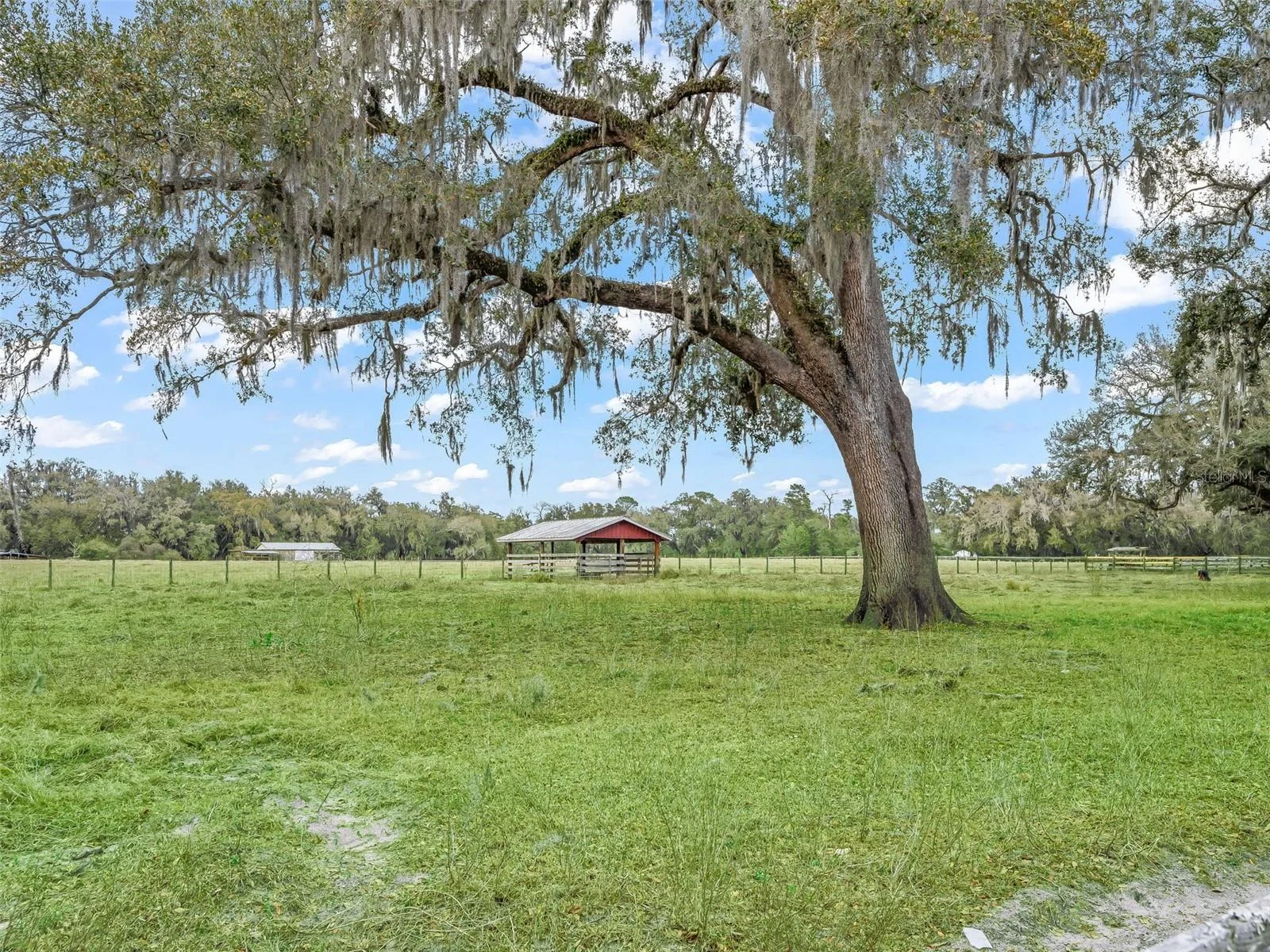 4430 CR 542H, BUSHNELL, FL — photo 35