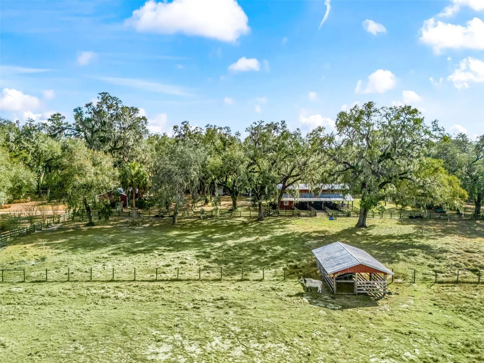 4430 CR 542H, BUSHNELL, FL — photo 37