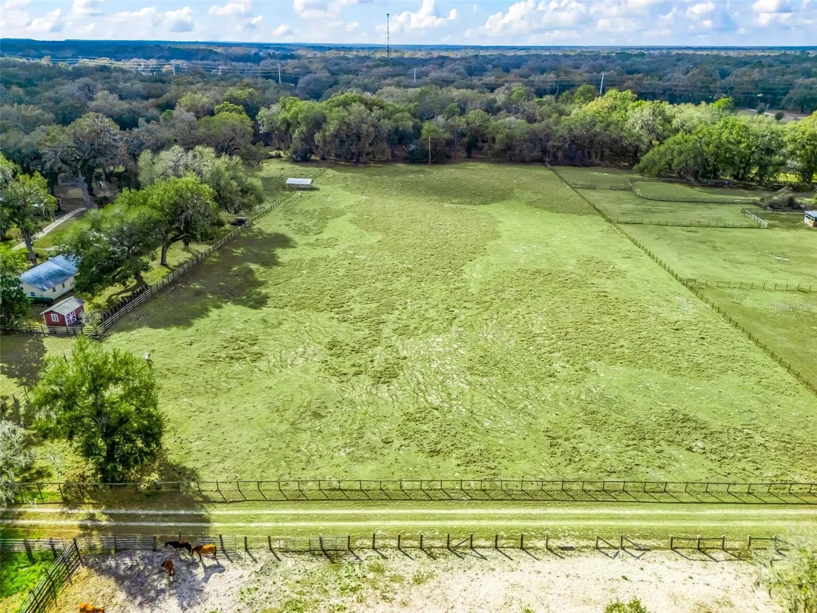 4430 CR 542H, BUSHNELL, FL — photo 39
