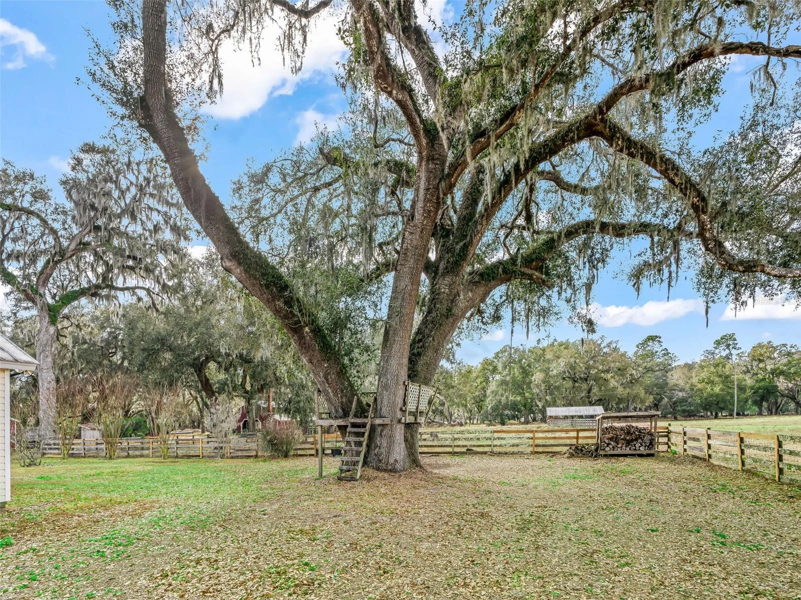 4430 CR 542H, BUSHNELL, FL — photo 43
