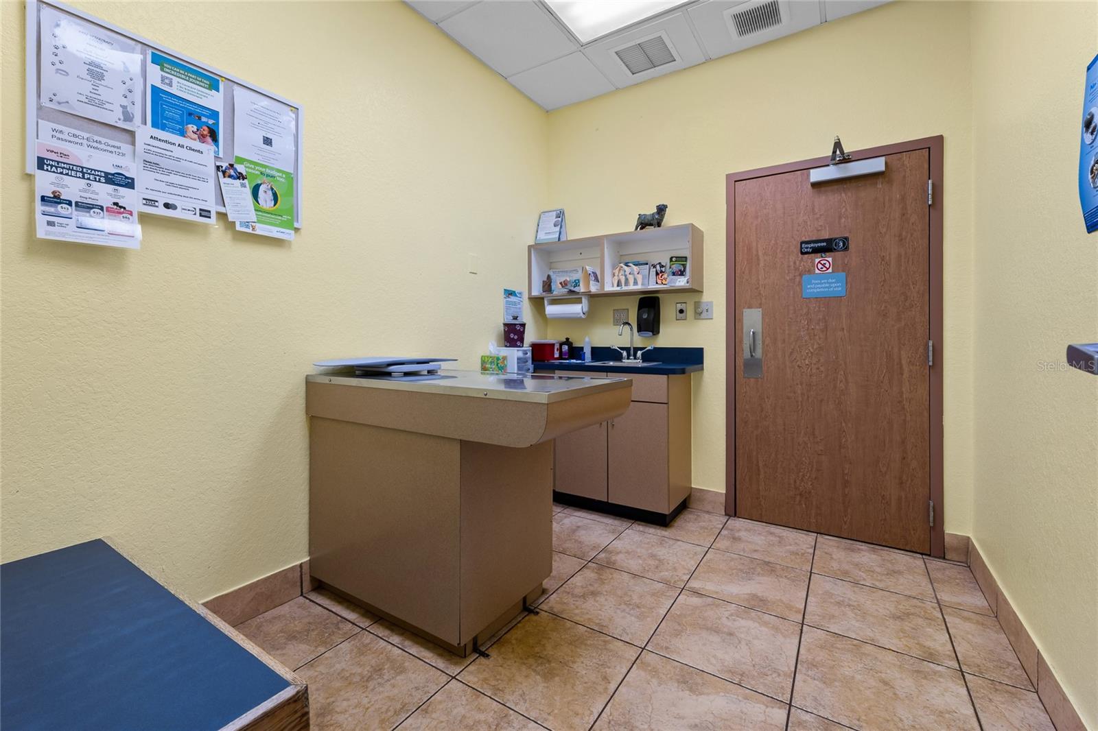 3300 N HIGHWAY 19A, MOUNT DORA, FL — photo 44