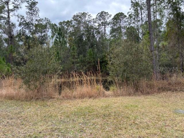 1720 CASSIDY DR, ST CLOUD, FL — photo 37