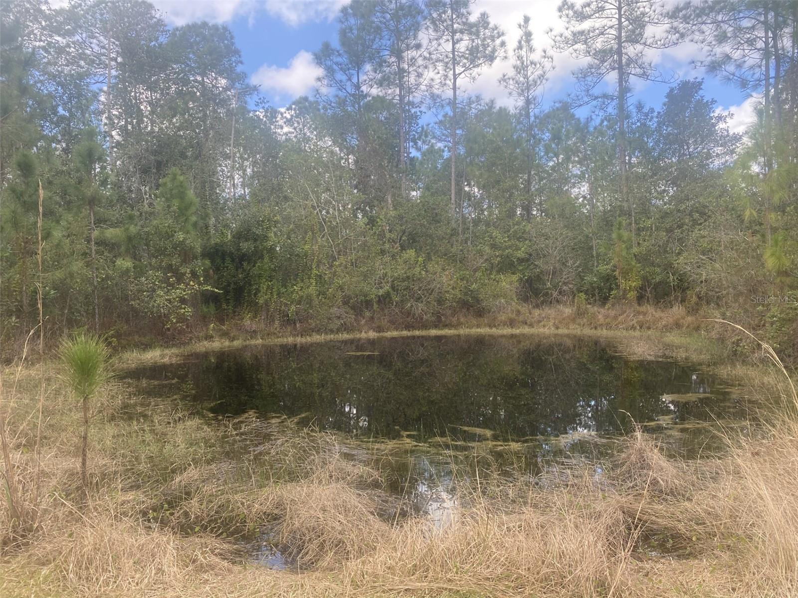 1720 CASSIDY DR, ST CLOUD, FL — photo 38
