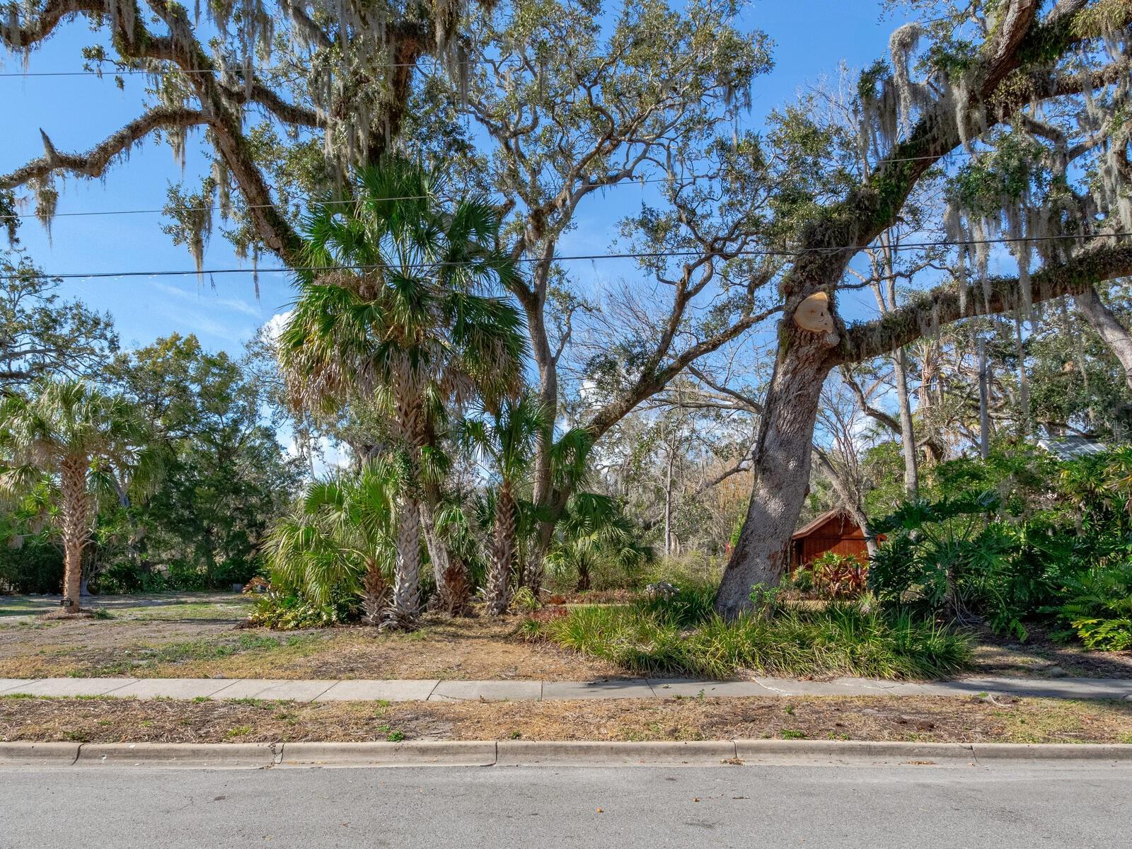 1214 E PARK CIR, TAMPA, FL — photo 14
