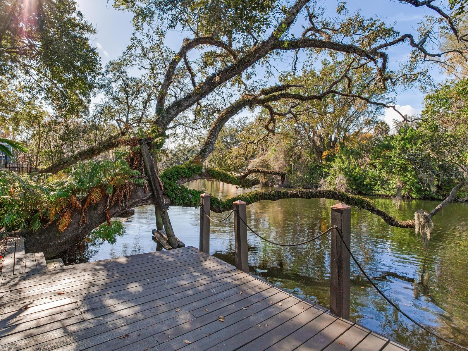 1214 E PARK CIR, TAMPA, FL — photo 26