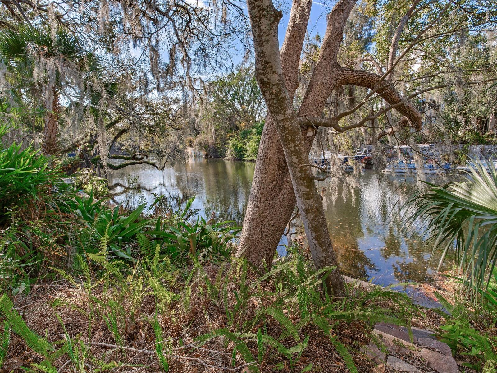 1214 E PARK CIR, TAMPA, FL — photo 29