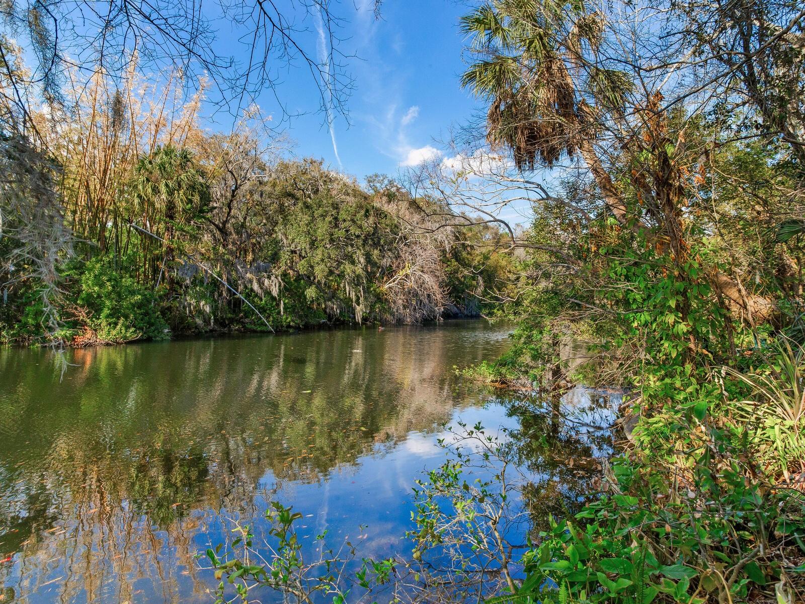 1214 E PARK CIR, TAMPA, FL — photo 30