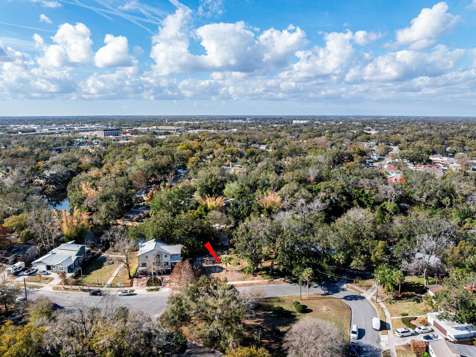 1214 E PARK CIR, TAMPA, FL — photo 45
