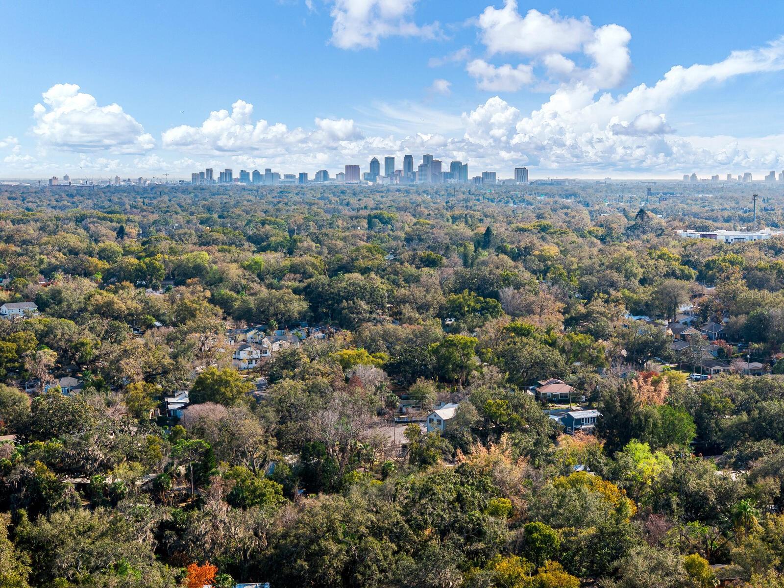 1214 E PARK CIR, TAMPA, FL — photo 51