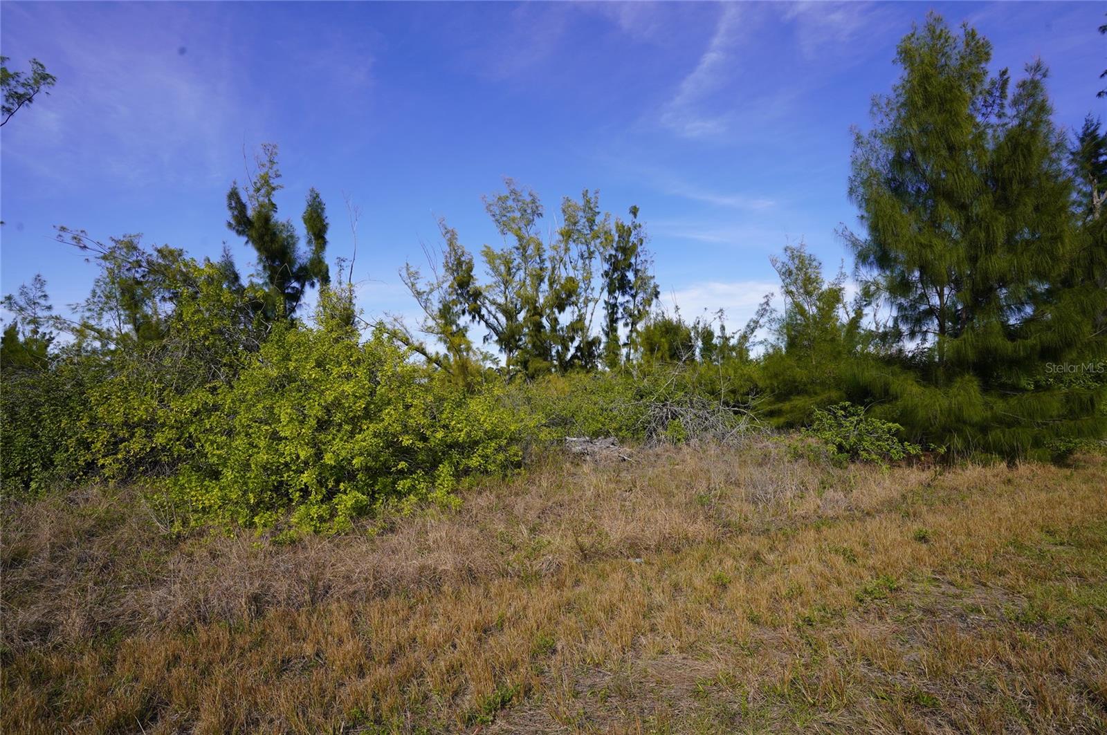 10565 ABELLO RD, PORT CHARLOTTE, FL — photo 3
